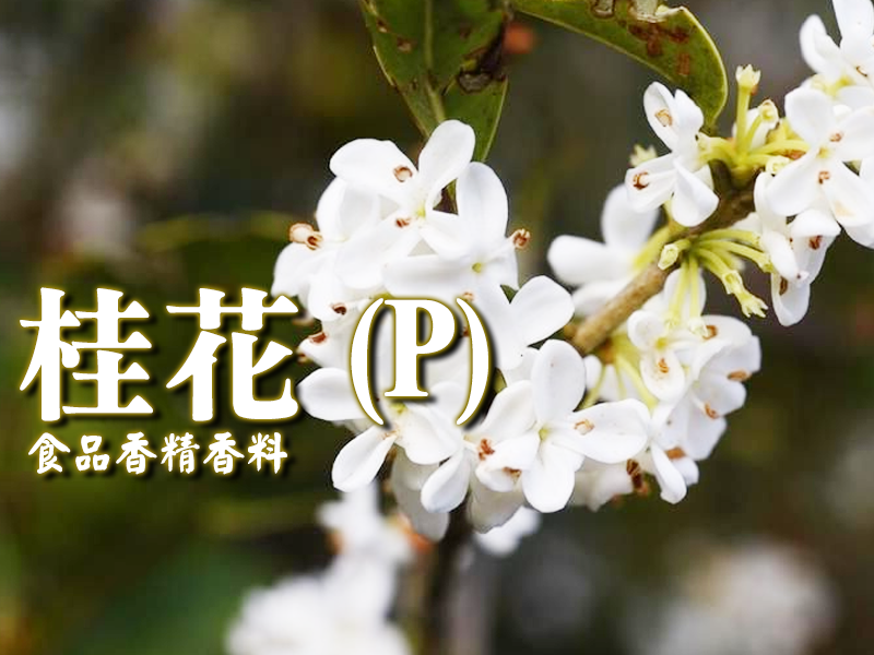 桂花香精香料(P)