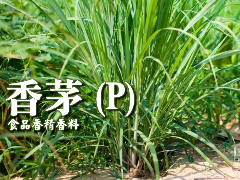 香茅香精香料(油性)(P)